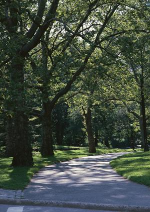 2025年最新!ホテル分析の全ポイントと成功する戦略ガイド